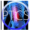 Pinnacle Training Consulting Systems PTCS